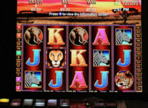 壹元娱乐官方网站入口电脑免费版